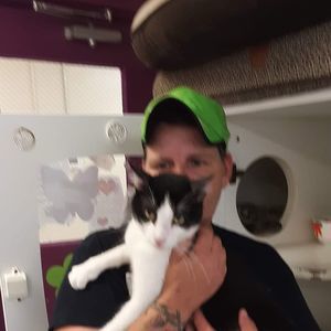 Meet your Posher, Doreen